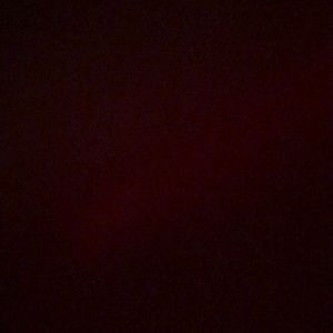 Meet your Posher, Cat